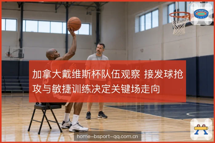 双打盘分工与轮转